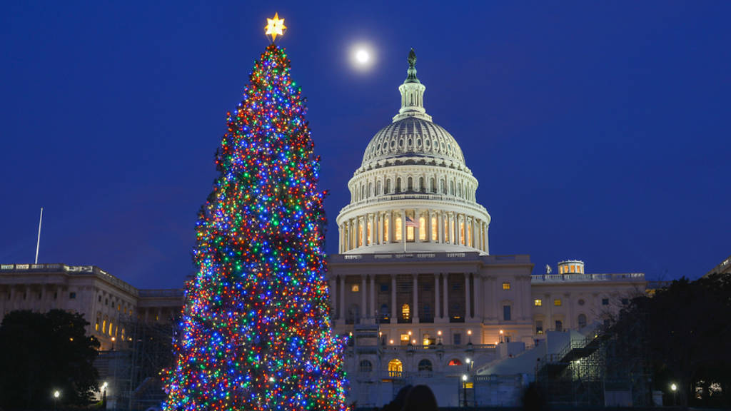Árbol de navidad alumbrado con luces afuera del Capitolio de los Estados Unidos.